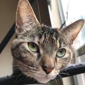 Meet your Posher, Addison